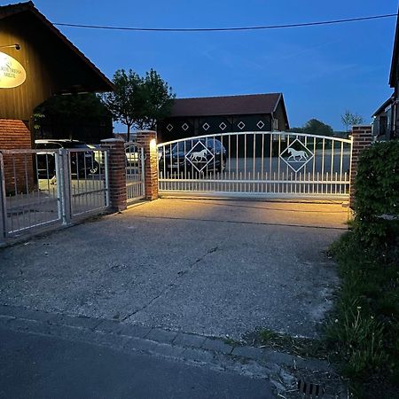Landhaus Am Esch Warendorf Exteriér fotografie