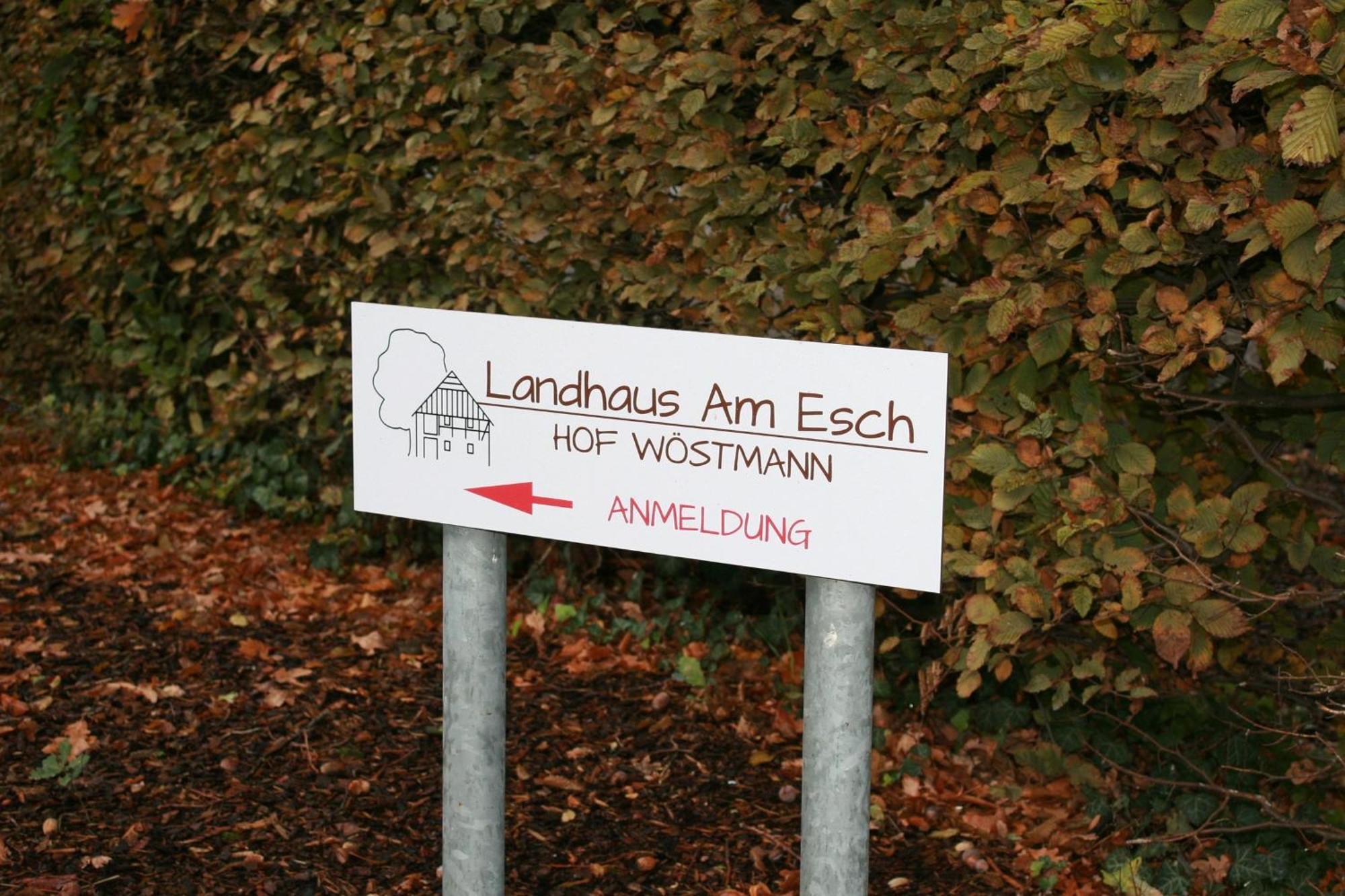 Landhaus Am Esch Warendorf Exteriér fotografie