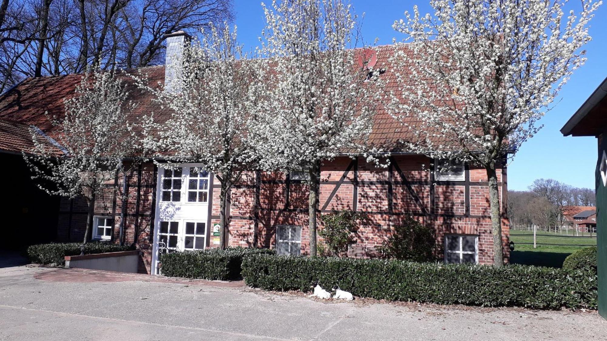Landhaus Am Esch Warendorf Exteriér fotografie